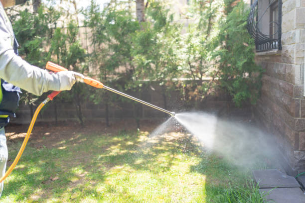 Best Seasonal Pest Control (e.g., summer mosquitoes, winter rodents)  in Brockport, NY